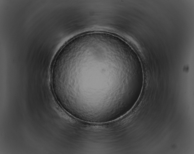 X0000091181280200708301209