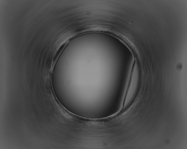 X0000091181281200708301209