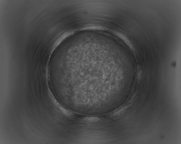 X0000091181282200708301209