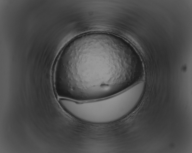 X0000091181283200708301209