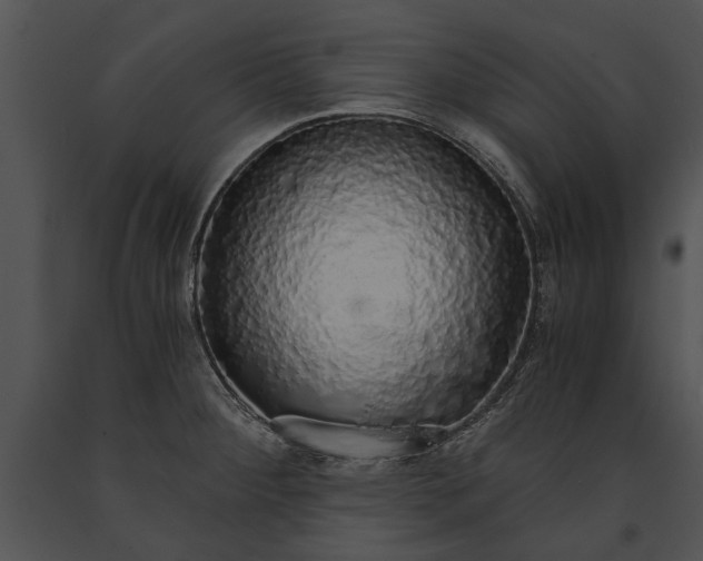 X0000091181284200708301209