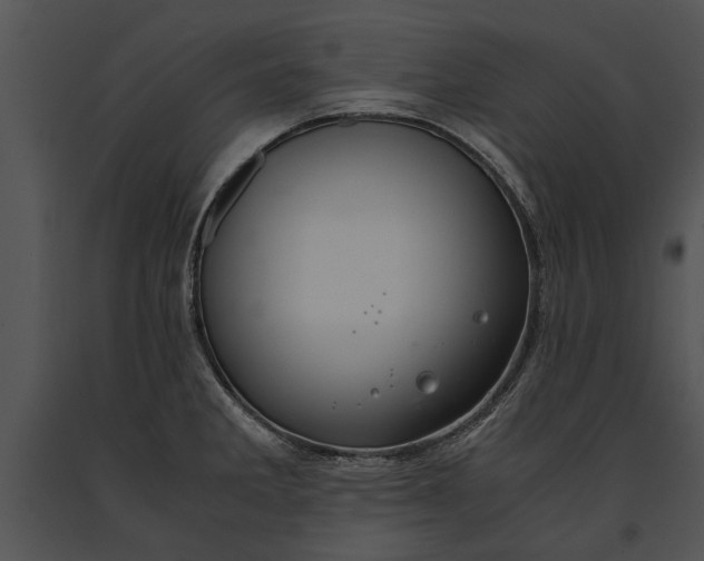 X0000091181285200708301209