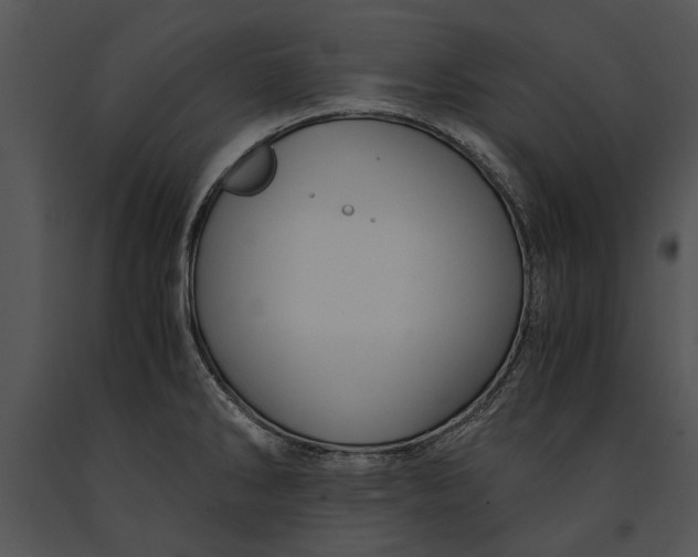 X0000091181286200708301209