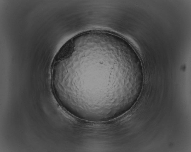 X0000091181287200708301209