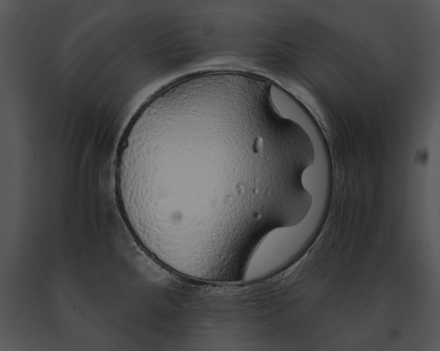 X0000091181288200708301209