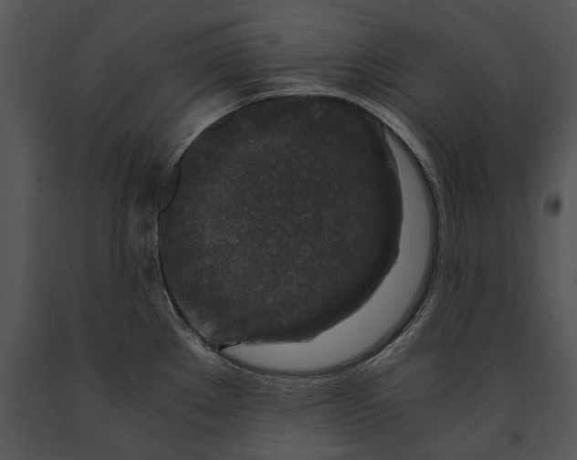 X0000091181289200708301209