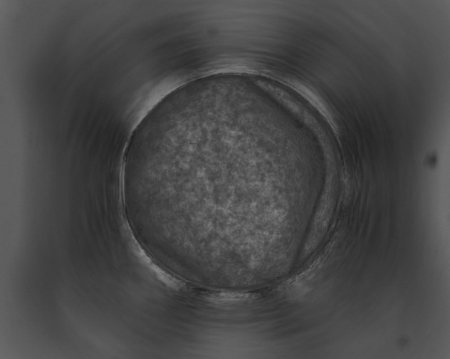 X0000091181290200708301209