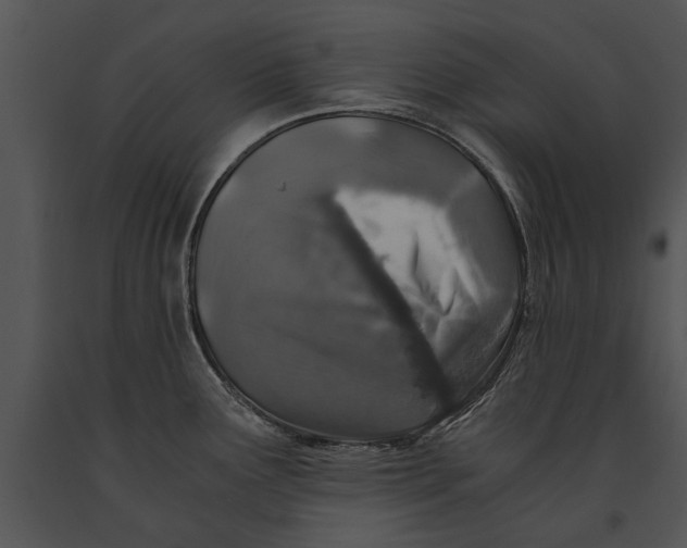 X0000091181291200708301209