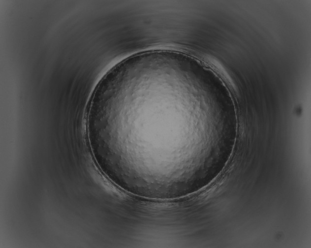 X0000091181292200708301209