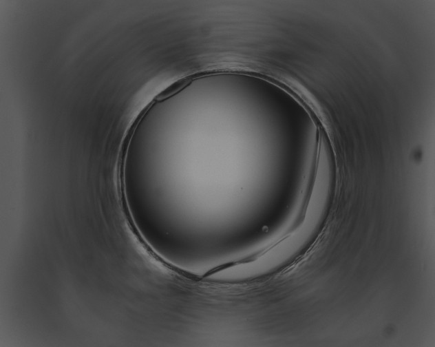 X0000091181293200708301209