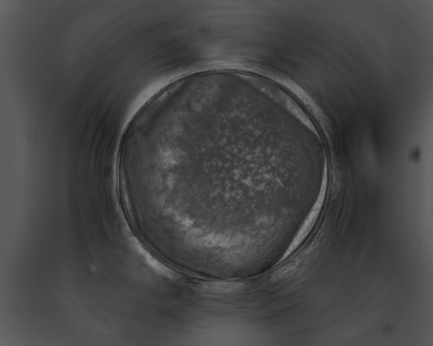 X0000091181294200708301209