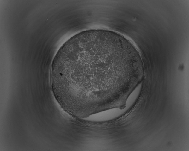 X0000091181295200708301209