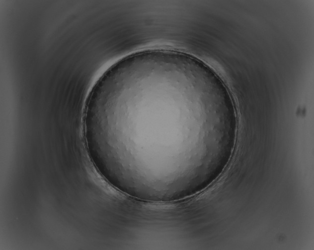 X0000091181296200708301209