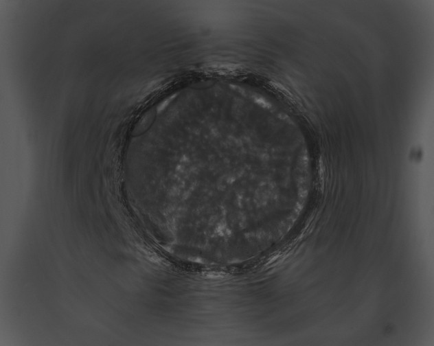 X0000091181297200708301208