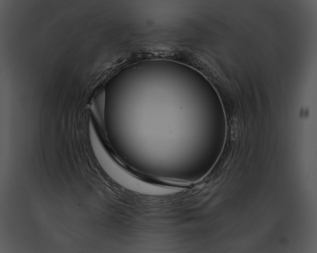 X0000091181298200708301208