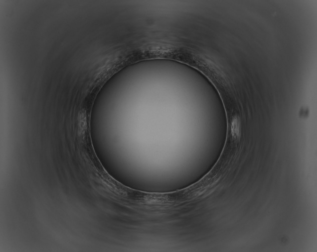 X0000091181299200708301208