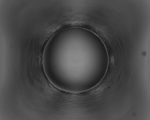 X0000091181300200708301208