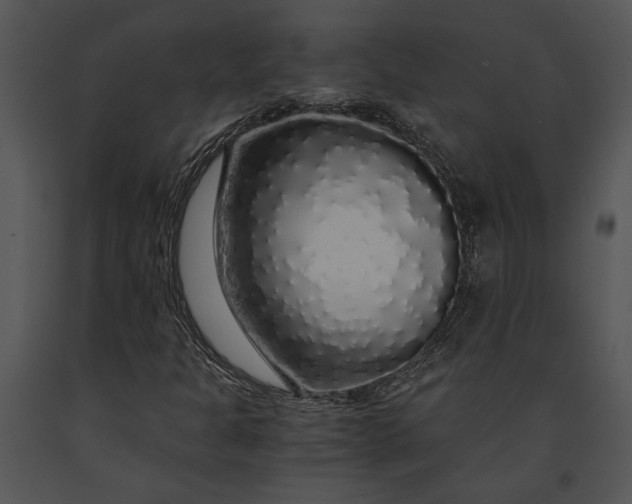 X0000091181301200708301208