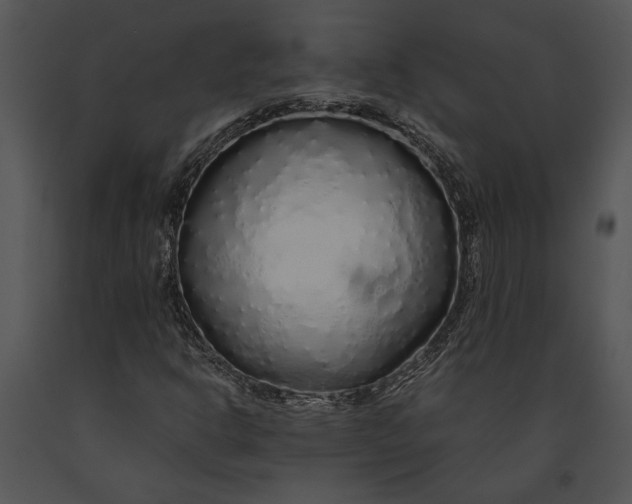 X0000091181302200708301208