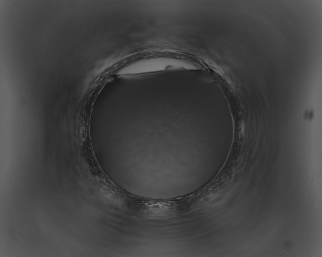 X0000091181303200708301208