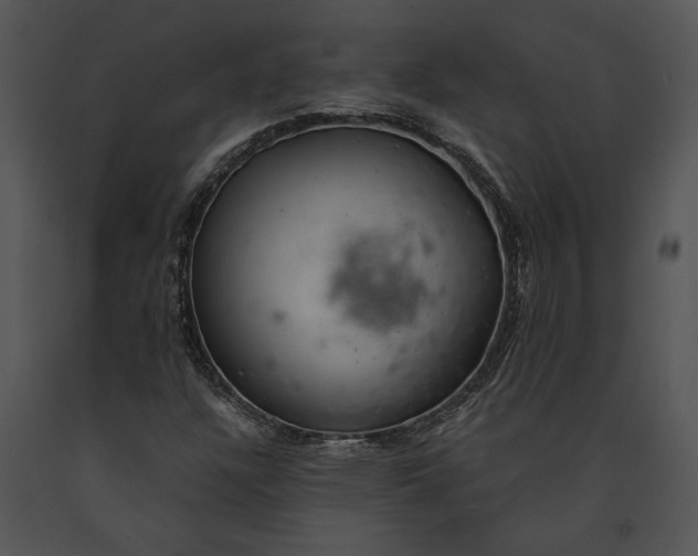 X0000091181304200708301208