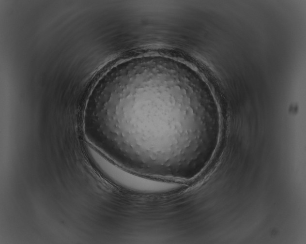 X0000091181305200708301208