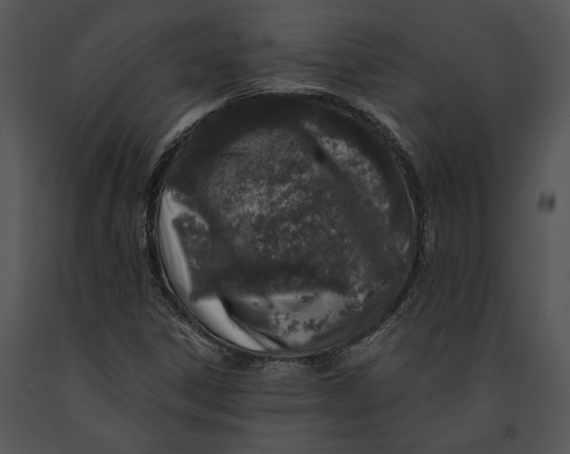 X0000091181306200708301208