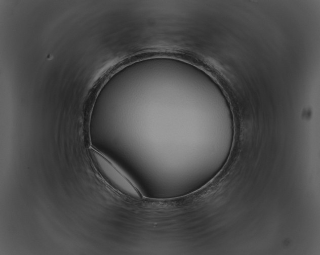 X0000091181307200708301208