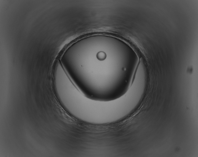 X0000091181308200708301208