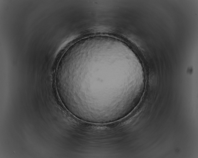 X0000091181309200708301208