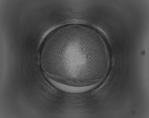 X0000091181310200708301208