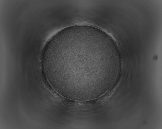 X0000091181311200708301208