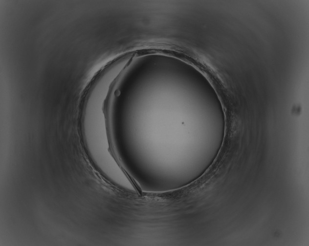 X0000091181312200708301208