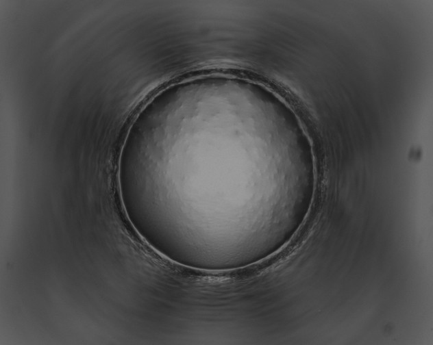 X0000091181313200708301208