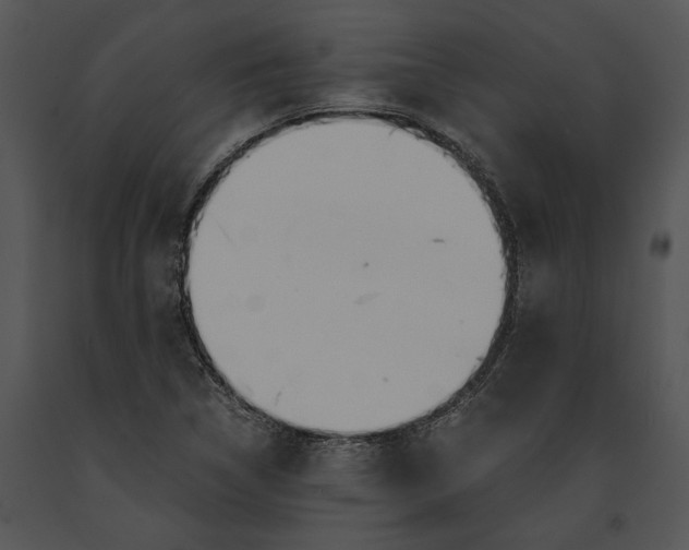 X0000091181314200708301208