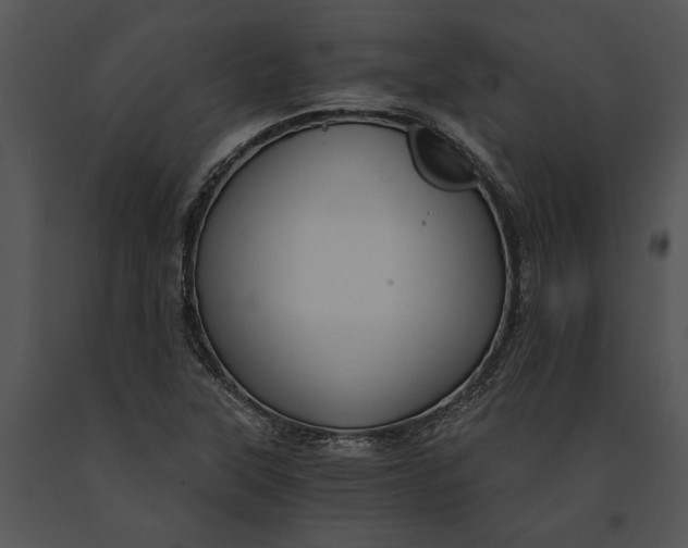 X0000091181315200708301208