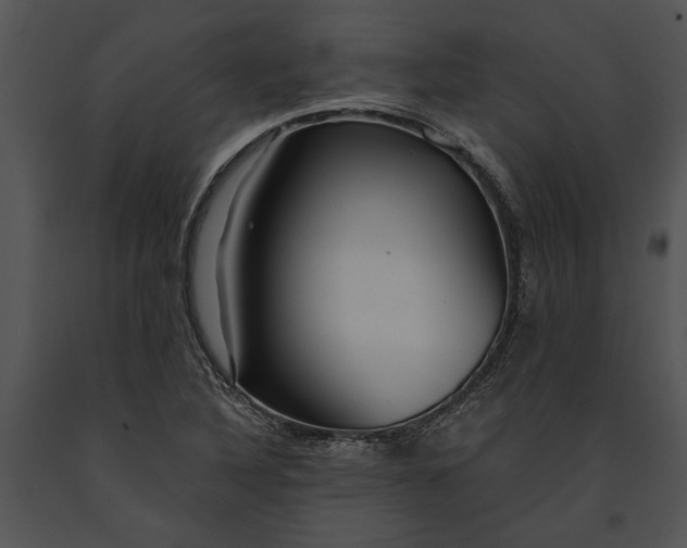 X0000091181316200708301208