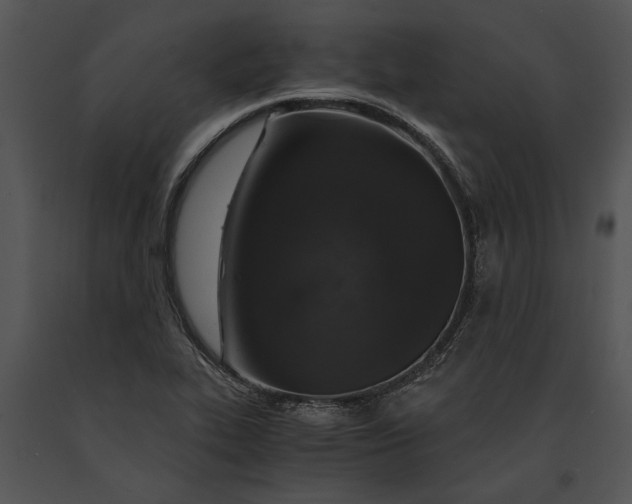 X0000091181319200708301208