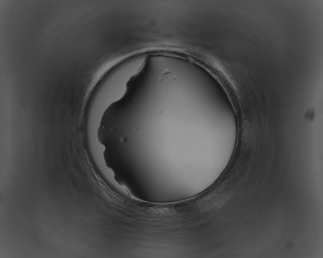 X0000091181320200708301208