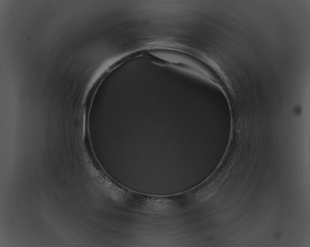 X0000091181323200708301208