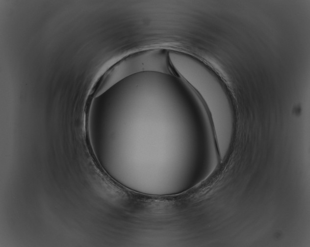 X0000091181324200708301208