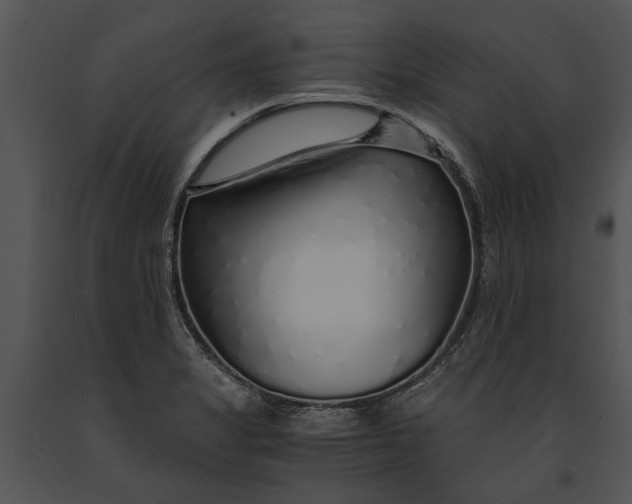 X0000091181325200708301208