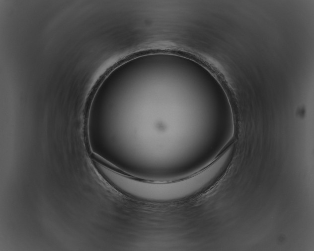 X0000091181326200708301208