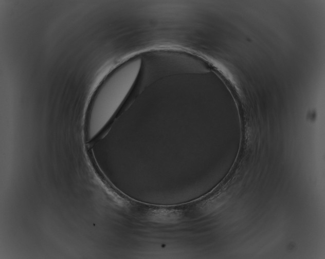 X0000091181327200708301208