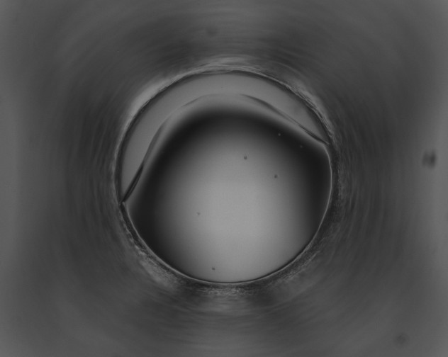 X0000091181328200708301208