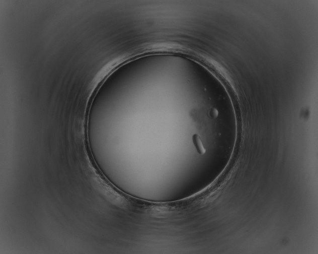 X0000091181330200708301208