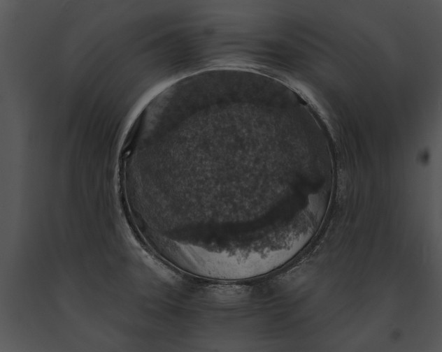 X0000091181331200708301208