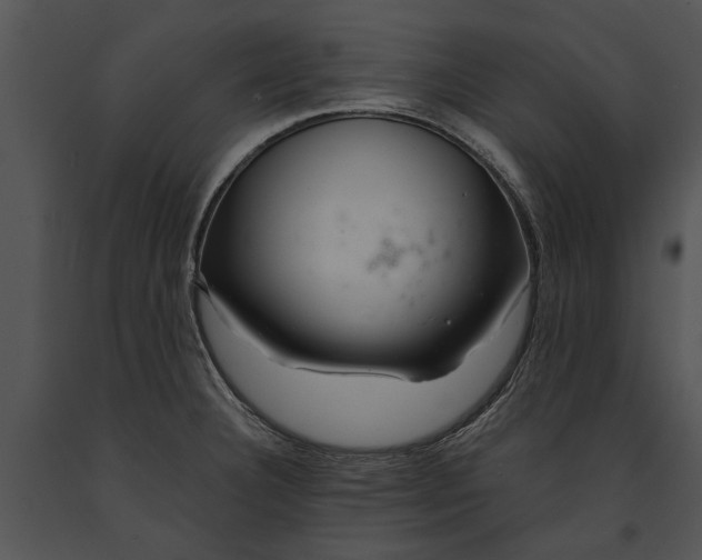 X0000091181332200708301208