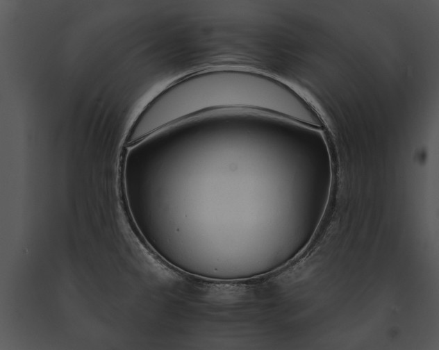 X0000091181333200708301208