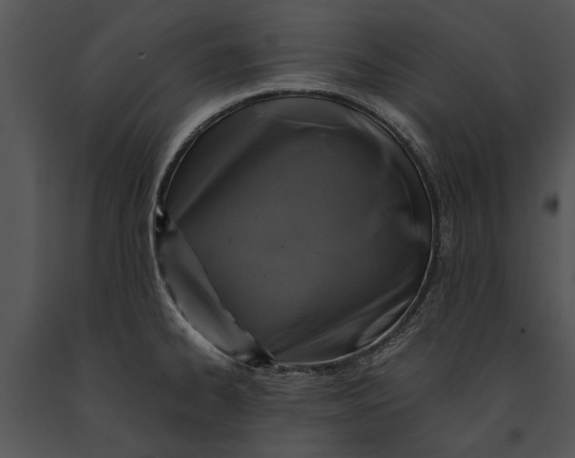 X0000091181334200708301208